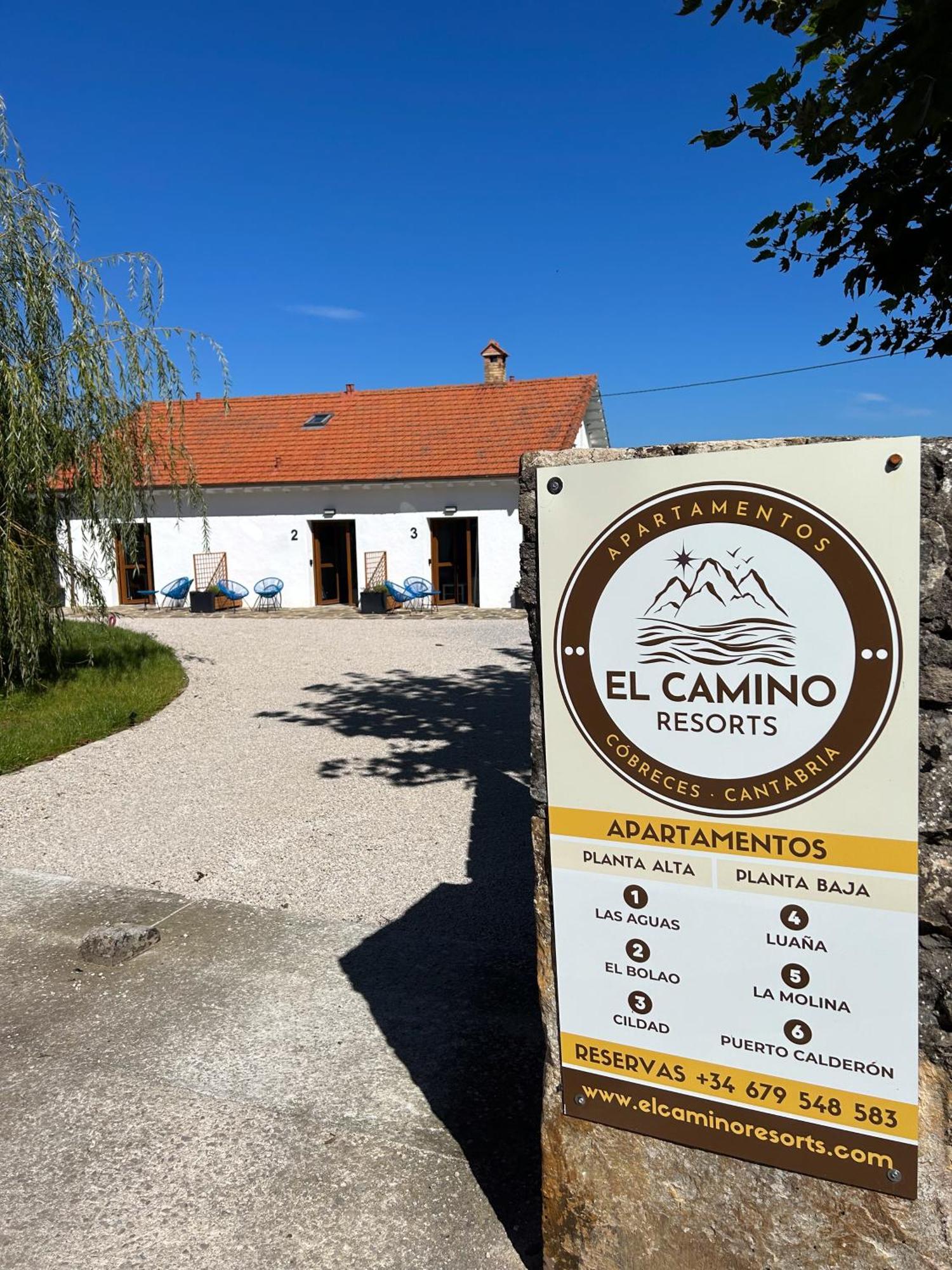 El Camino - Adults Only